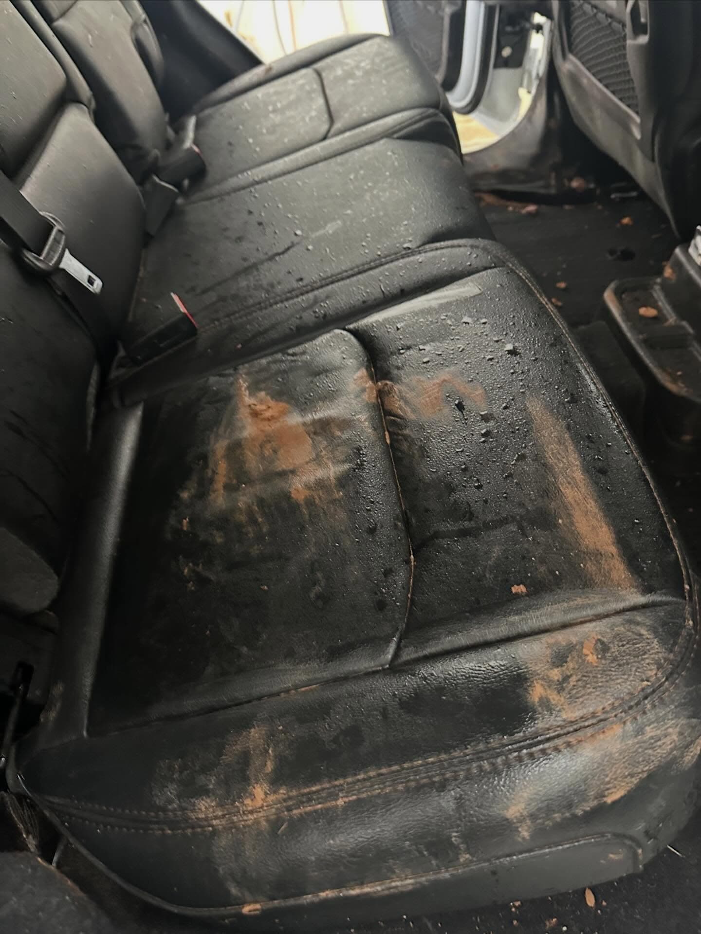 Before Leather Seats